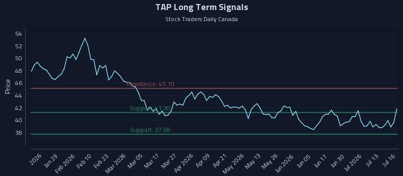 TAP Long Term Analysis for July 16 2026