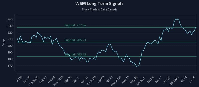 WSM Long Term Analysis for July 16 2026 WSM Long Term Analysis for July 16 2026