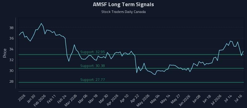 AMSF Long Term Analysis for July 17 2026 AMSF Long Term Analysis for July 17 2026
