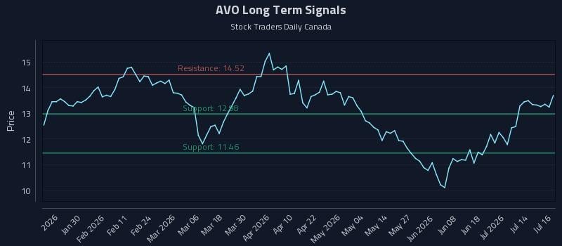 AVO Long Term Analysis for July 17 2026 AVO Long Term Analysis for July 17 2026