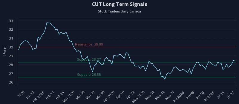 CUT Long Term Analysis for July 18 2026