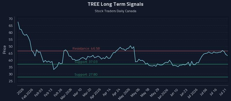 TREE Long Term Analysis for July 21 2026 TREE Long Term Analysis for July 21 2026
