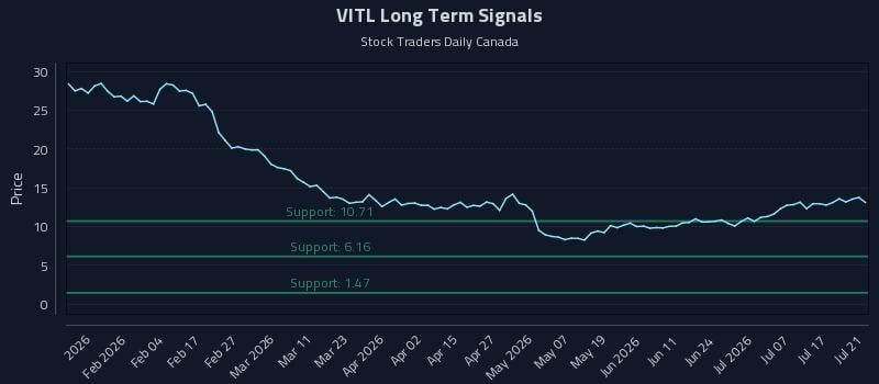 VITL Long Term Analysis for July 22 2026 VITL Long Term Analysis for July 22 2026