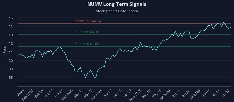 NUMV Long Term Analysis for July 22 2026