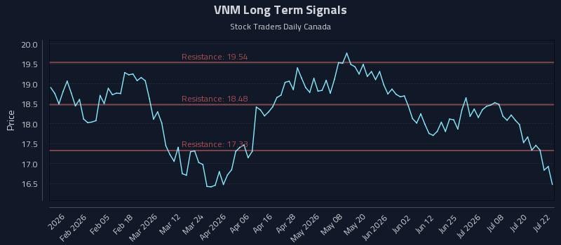 VNM Long Term Analysis for July 23 2026