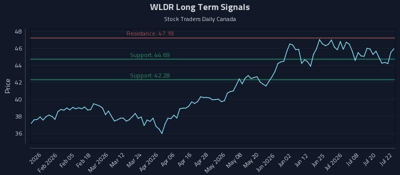 WLDR Long Term Analysis for July 23 2026