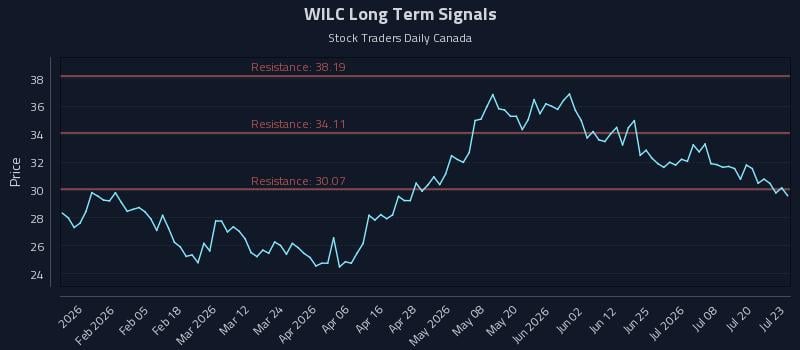 WILC Long Term Analysis for July 23 2026 WILC Long Term Analysis for July 23 2026