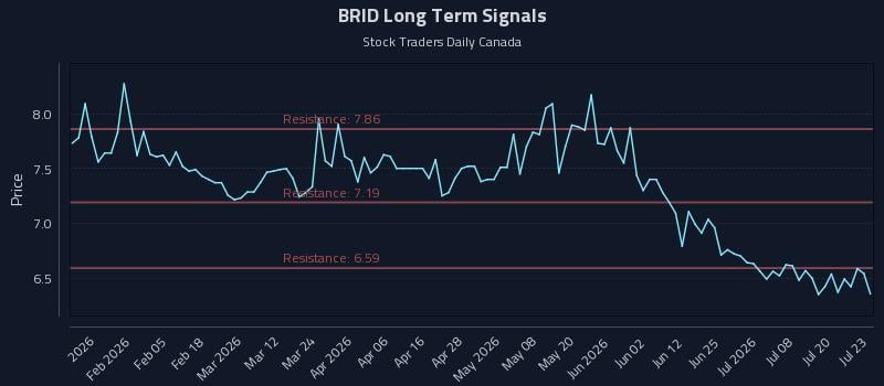 BRID Long Term Analysis for July 23 2026