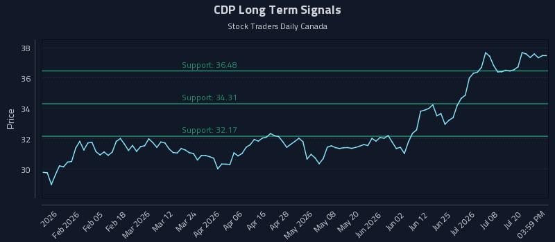 CDP Long Term Analysis for July 23 2026