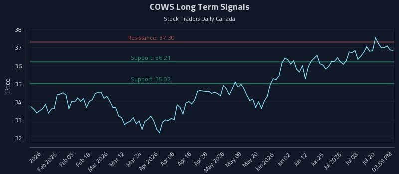 COWS Long Term Analysis for July 23 2026