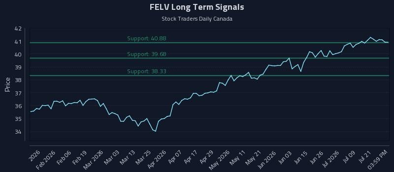 FELV Long Term Analysis for July 24 2026