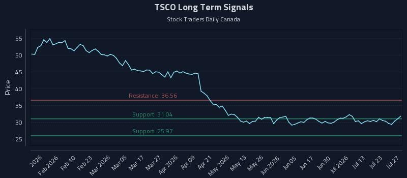 TSCO Long Term Analysis for July 28 2026