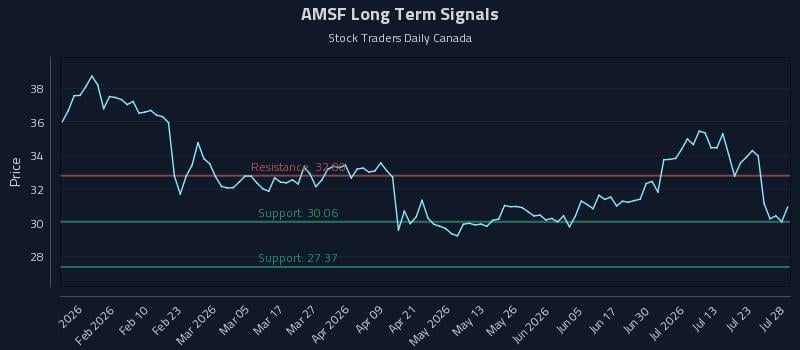 AMSF Long Term Analysis for July 28 2026