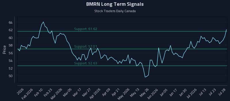 BMRN Long Term Analysis for July 28 2026 BMRN Long Term Analysis for July 28 2026