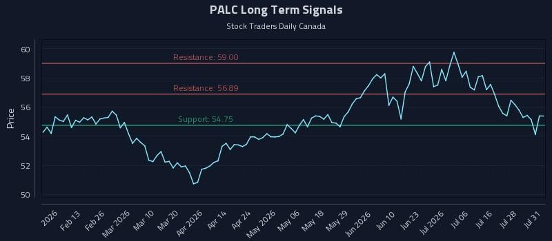 PALC Long Term Analysis for August 1 2026 PALC Long Term Analysis for August 1 2026