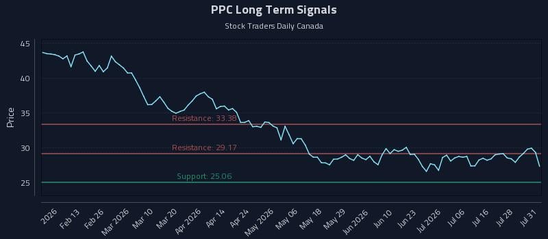 PPC Long Term Analysis for August 2 2026