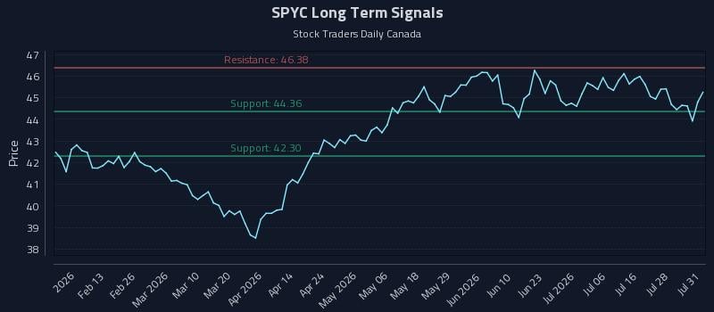 SPYC Long Term Analysis for August 2 2026 SPYC Long Term Analysis for August 2 2026
