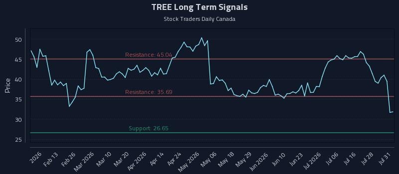 TREE Long Term Analysis for August 3 2026 TREE Long Term Analysis for August 3 2026
