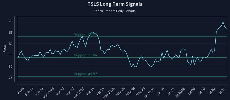 TSLS Long Term Analysis for August 3 2026