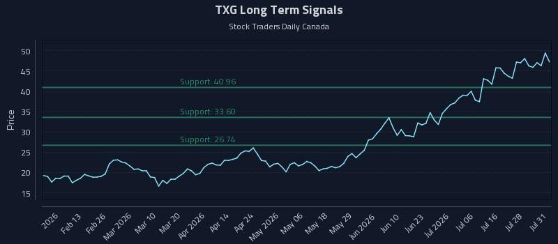 TXG Long Term Analysis for August 3 2026 TXG Long Term Analysis for August 3 2026