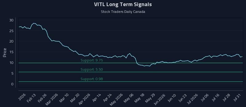 VITL Long Term Analysis for August 3 2026 VITL Long Term Analysis for August 3 2026