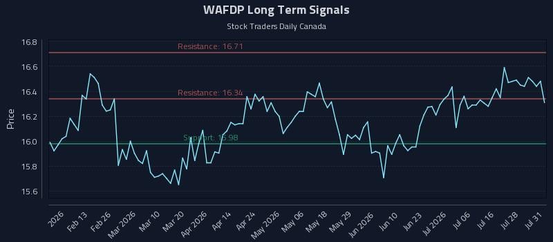 WAFDP Long Term Analysis for August 3 2026