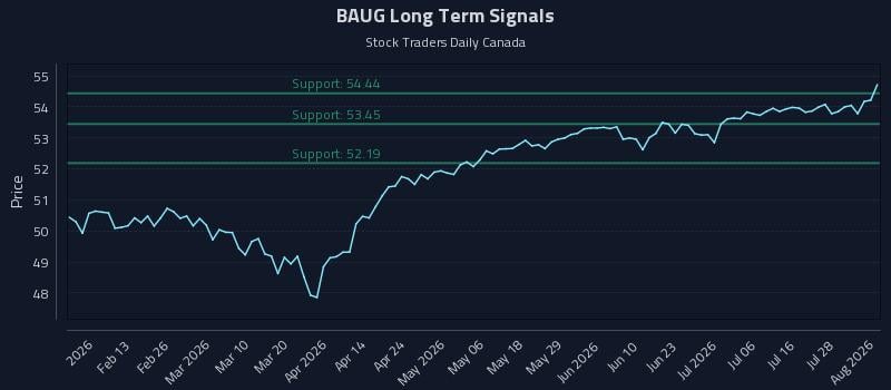 BAUG Long Term Analysis for August 3 2026 BAUG Long Term Analysis for August 3 2026
