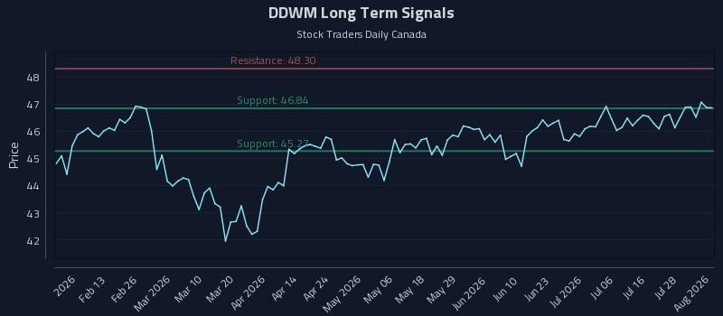 DDWM Long Term Analysis for August 3 2026 DDWM Long Term Analysis for August 3 2026