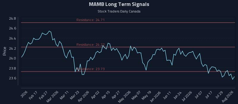 MAMB Long Term Analysis for August 4 2026