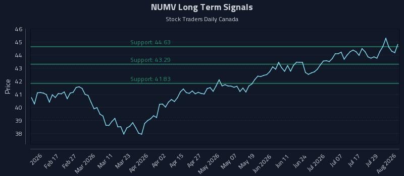 NUMV Long Term Analysis for August 4 2026 NUMV Long Term Analysis for August 4 2026