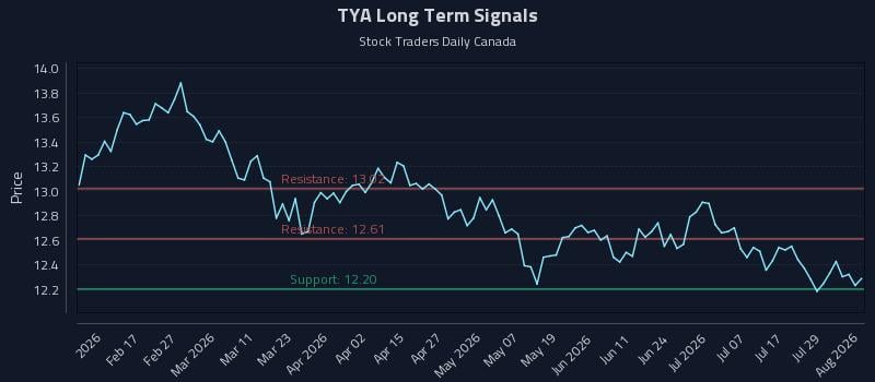TYA Long Term Analysis for August 4 2026 TYA Long Term Analysis for August 4 2026