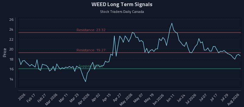 WEED Long Term Analysis for August 4 2026