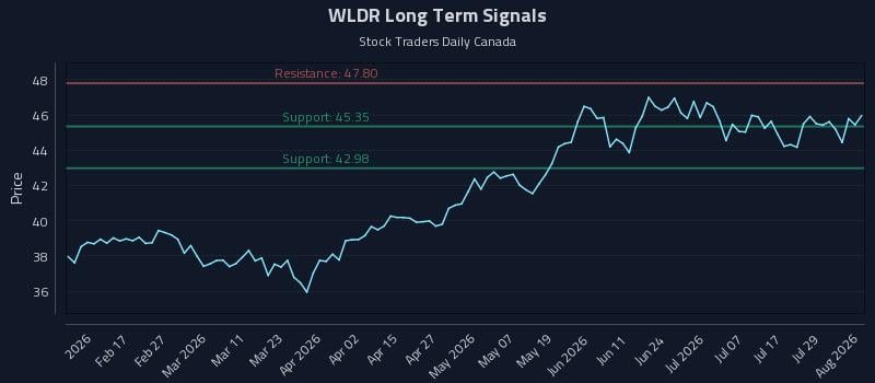 WLDR Long Term Analysis for August 4 2026 WLDR Long Term Analysis for August 4 2026