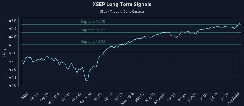XSEP Long Term Analysis for August 4 2026 XSEP Long Term Analysis for August 4 2026