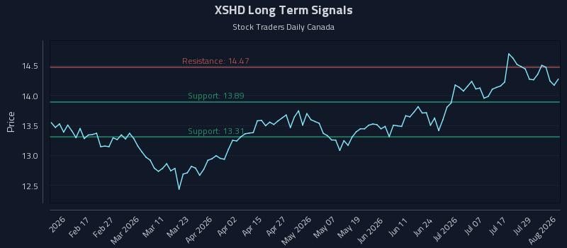 XSHD Long Term Analysis for August 4 2026 XSHD Long Term Analysis for August 4 2026