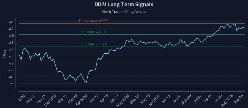 DDIV Long Term Analysis for August 4 2026 DDIV Long Term Analysis for August 4 2026