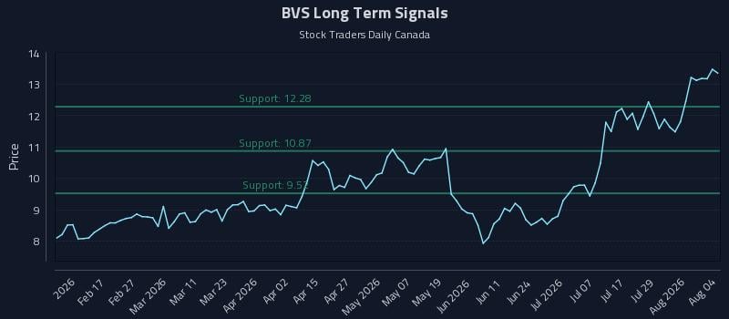 BVS Long Term Analysis for August 4 2026 BVS Long Term Analysis for August 4 2026