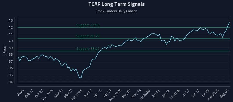 TCAF Long Term Analysis for August 4 2026