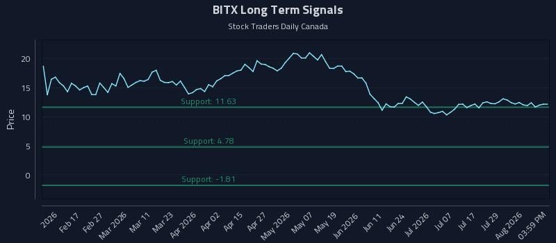 BITX Long Term Analysis for August 4 2026 BITX Long Term Analysis for August 4 2026