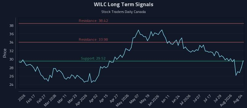 WILC Long Term Analysis for August 4 2026 WILC Long Term Analysis for August 4 2026