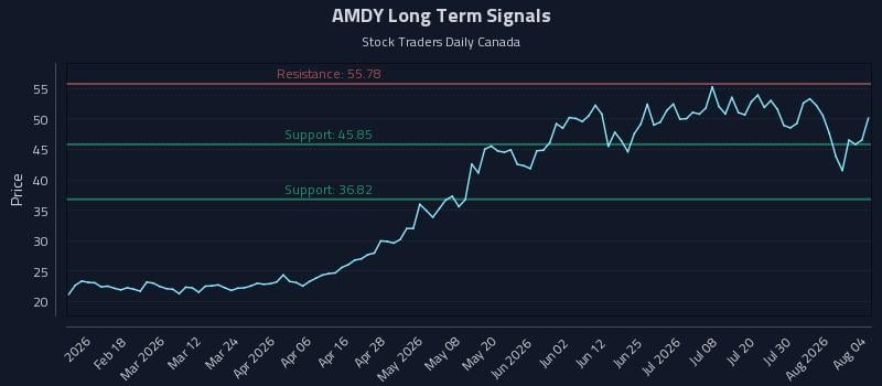 AMDY Long Term Analysis for August 5 2026