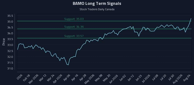 BAMO Long Term Analysis for August 5 2026