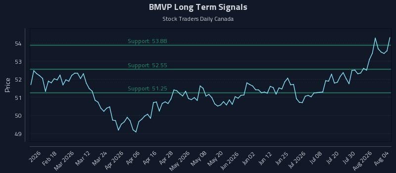 BMVP