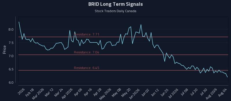 BRID Long Term Analysis for August 5 2026