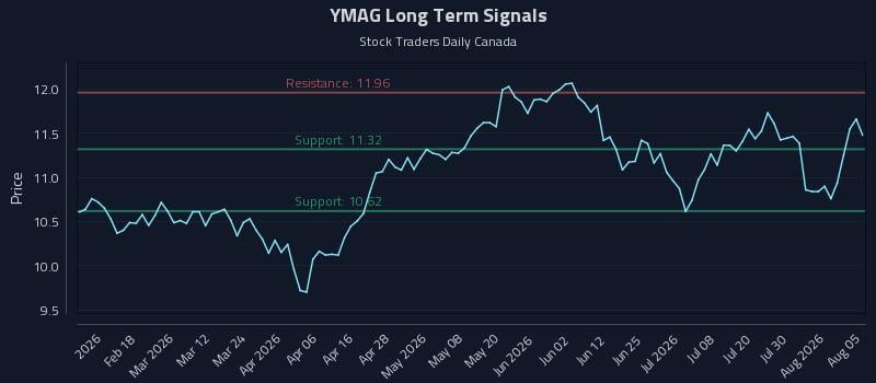 YMAG Long Term Analysis for August 5 2026 YMAG Long Term Analysis for August 5 2026