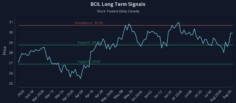 BCIL Long Term Analysis for August 5 2026 BCIL Long Term Analysis for August 5 2026