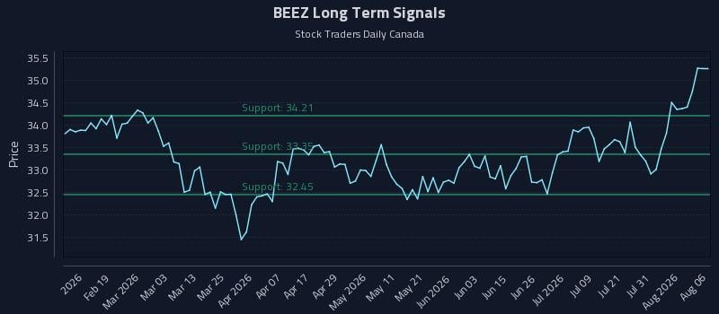 BEEZ Long Term Analysis for August 6 2026 BEEZ Long Term Analysis for August 6 2026