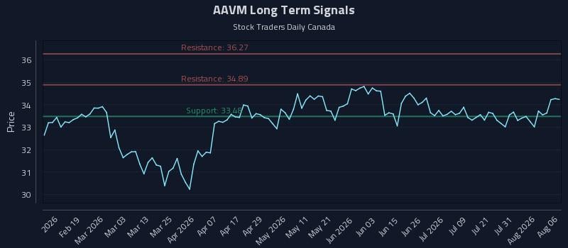 AAVM Long Term Analysis for August 6 2026