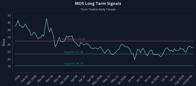 MOS Long Term Analysis for August 7 2026 MOS Long Term Analysis for August 7 2026