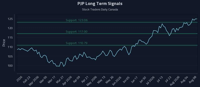 PJP Long Term Analysis for August 8 2026